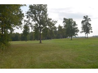 Pond in Dekalb County, Indiana - MAJOR LAND AUCTION - 516+/- ACRES OFFERED IN 18 TRACTS OR COMBINATIONS IN DEKALB COUNTY, INDIANA